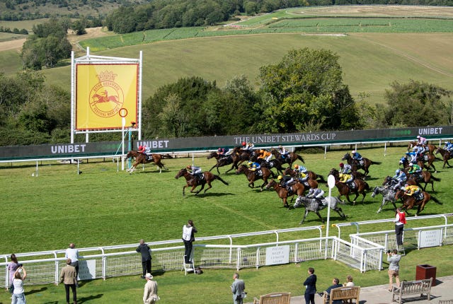 Summerghand just gets home in the middle of the track
