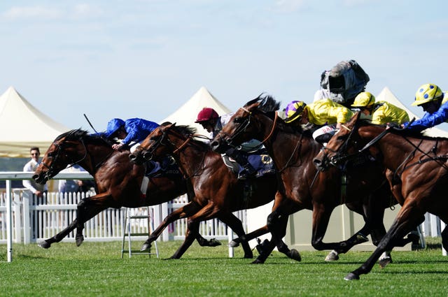 Coroebus clings on from Lusail, My Prospero, Maljoom and Mighty Ulysses in the St James's Palace Stakes. Baaeed next?
