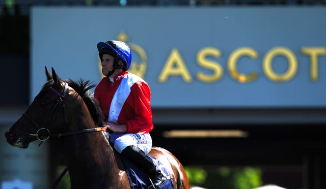 Twilight Calls goes to post for the King's Stand