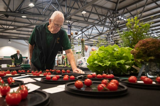 Harrogate Autumn Flower Show giant vegetable competition