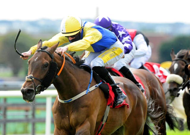 Darkened provided Denis Hogan with another winner