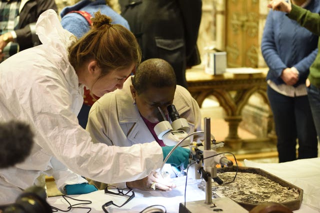 Researchers examine the remains