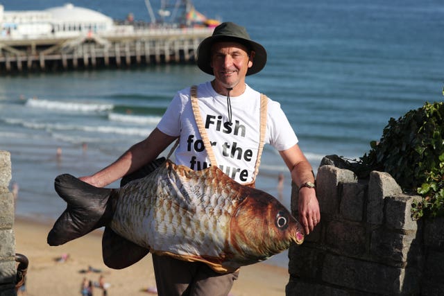 MEP fish