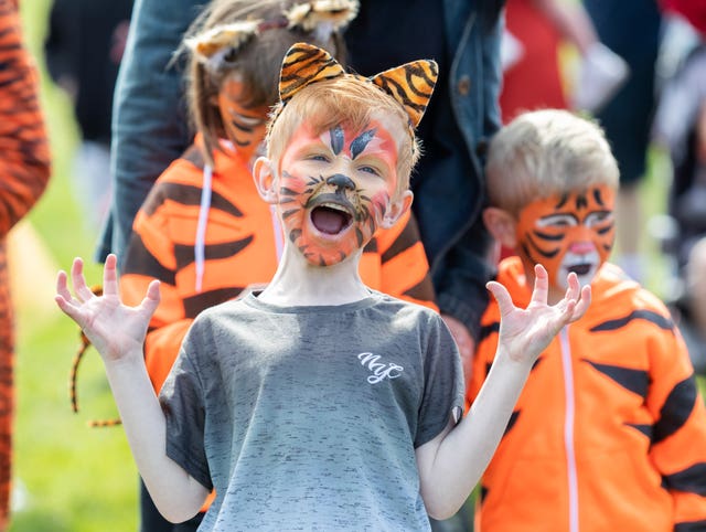 Knowsley Safari Tiger Parade