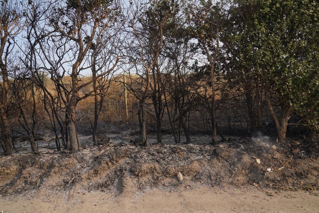 Firefighters tell of 'absolute hell' as blazes ravage homes in London - Jersey Evening Post 12 Summer weather July 19th 2022