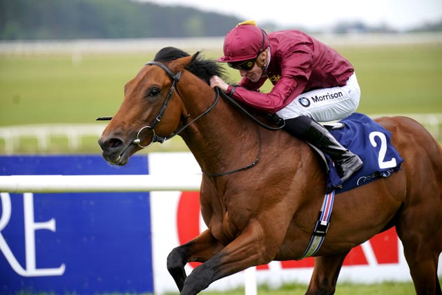 Buckaroo in action at the Curragh