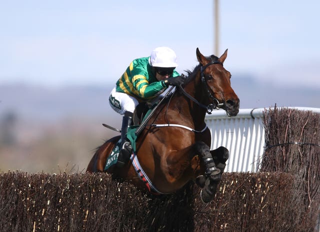 Fakir D'Oudairies in action at Aintree
