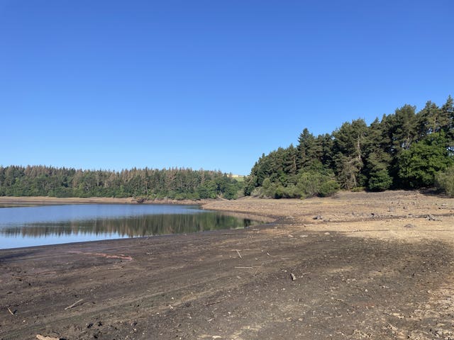 Bare ground exposed by low water levels a reservoir edged with trees under a bright blue sky