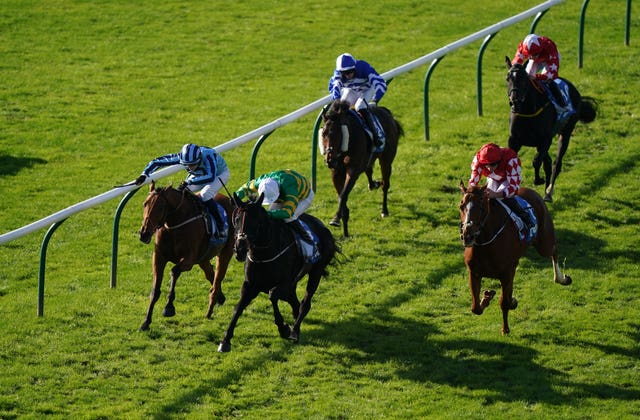Tashkhan (inside) went close in the Cesarewitch