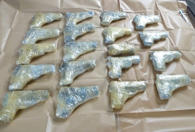 Dover firearms seizure