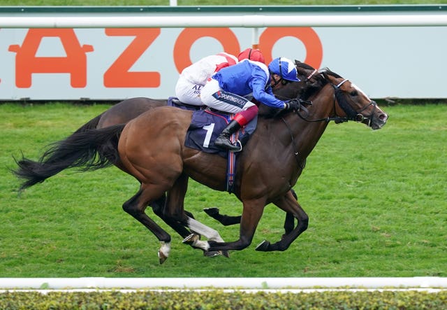 Harrovian (nearside) is the other Gosden-trained runner at Meydan