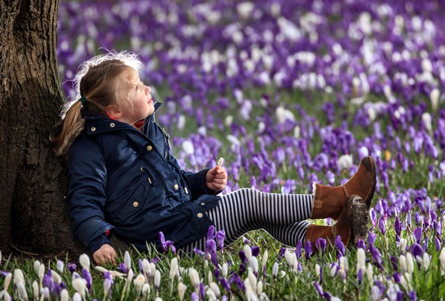 Fern Gibson holds a crocus