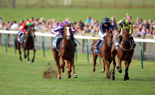 I'll Have Another (right) was second to Norway in the Zetland Stakes