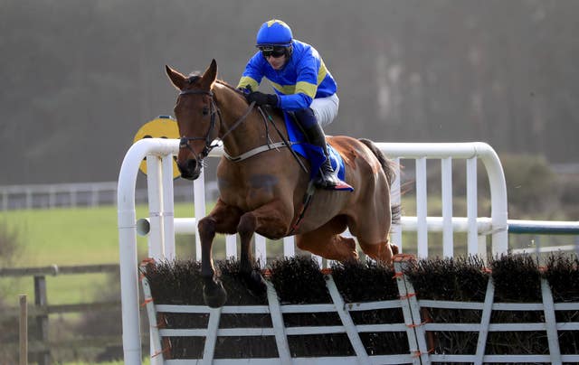 Dysart Dynamo is Willie Mullins' leading hope