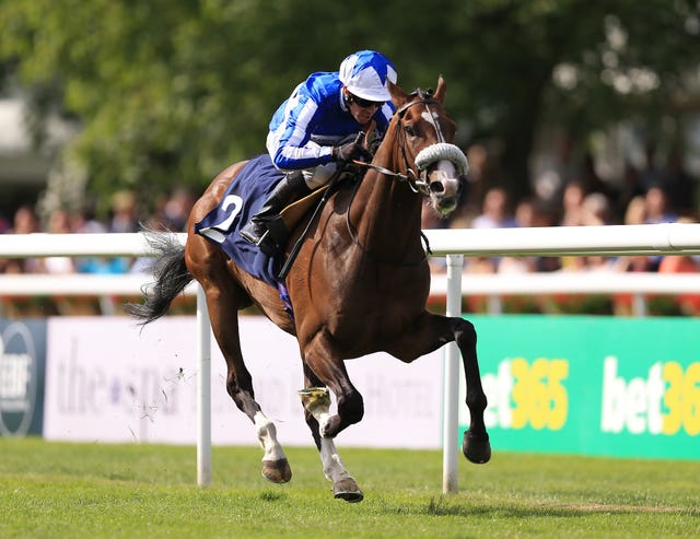 Beat The Bank in winning action at Newmarket