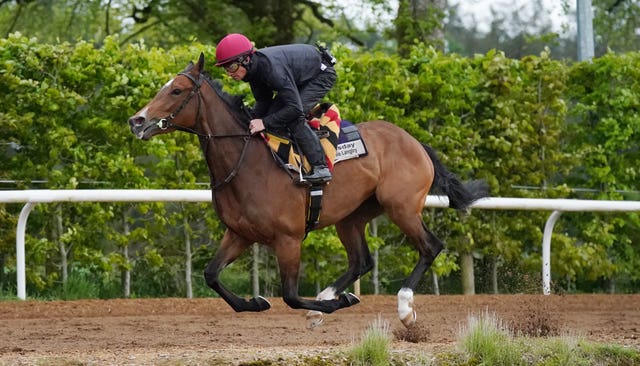 Tuesday represents Aidan O'Brien