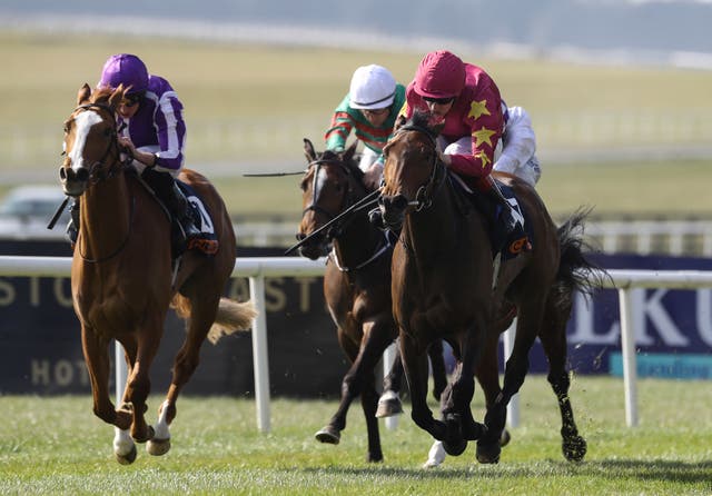 Toy (left) seen here at the Curragh last month