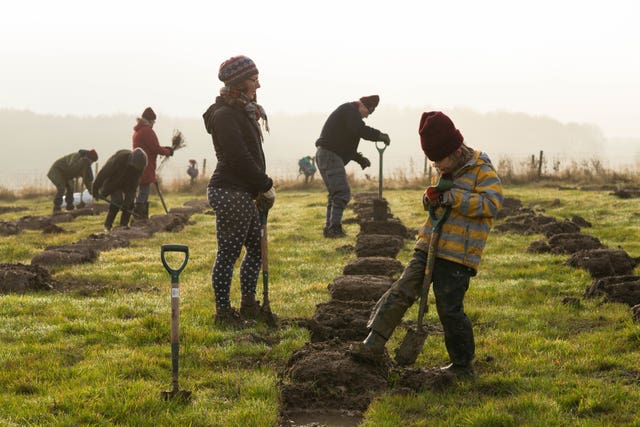 Tree planting to combat climate change