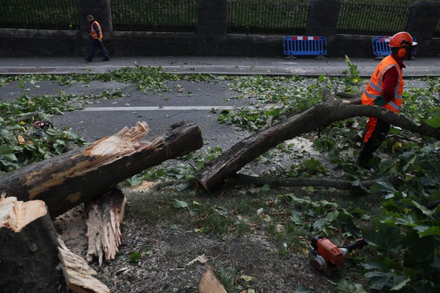 Downed trees in Dublin