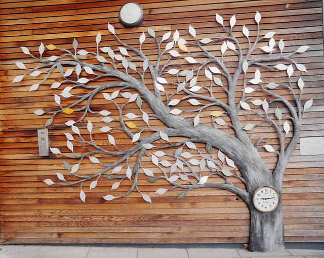 Aberfan memorial tree