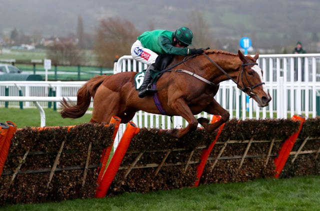 Concertista was one of the easiest winners at the Cheltenham Festival