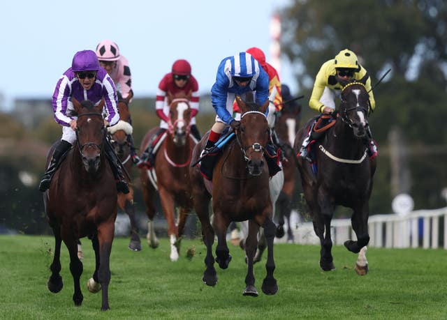 Delacroix (left) sees off the challengers at Leopardstown