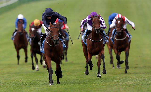 Rhododendron (front left) one of four Lockinge hopefuls for Aidan O'Brien