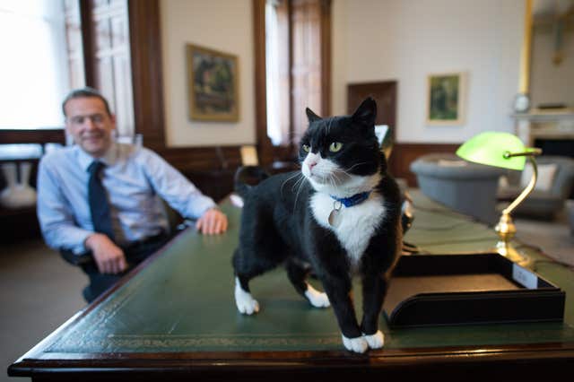 Chief Mouser at Foreign Office