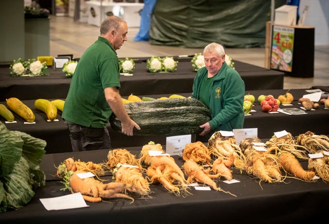 Harrogate Autumn Flower Show giant vegetable competition