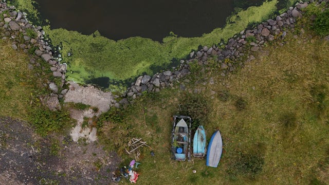 Blue-green algae concentrations on the shores of Lough Neagh in Co Antrim in 2024