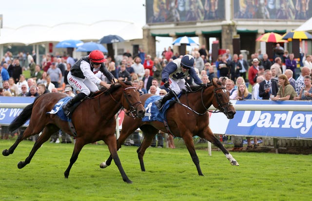 Forbearance (right) winning at York last season
