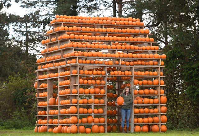 Pumpkin house in Norfolk