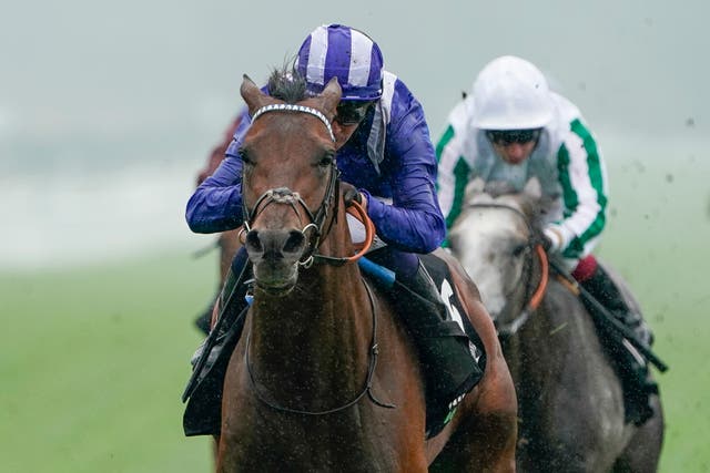 Hukum in action at Newbury