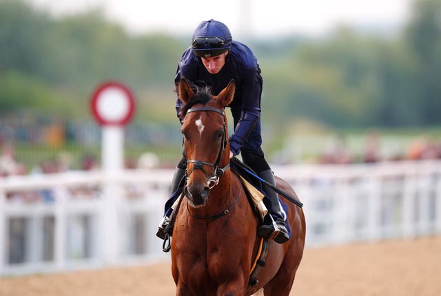 City of Troy was beat in the Guineas before landing the Derby