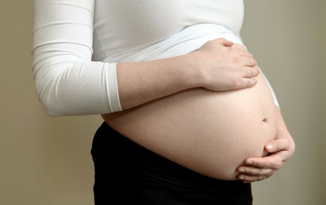 Pregnancy Stock