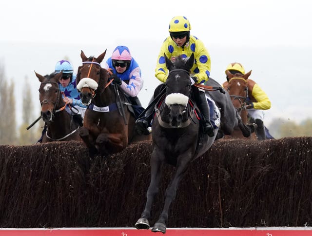Paul Nicholls' Yala Enki