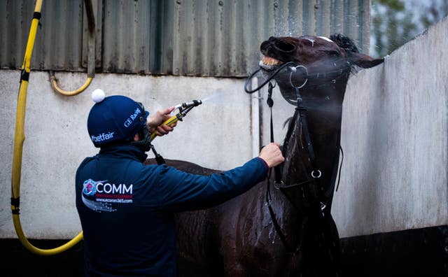 Tiger Roll enjoys a shower at Gordon Elliott's yard on Monday