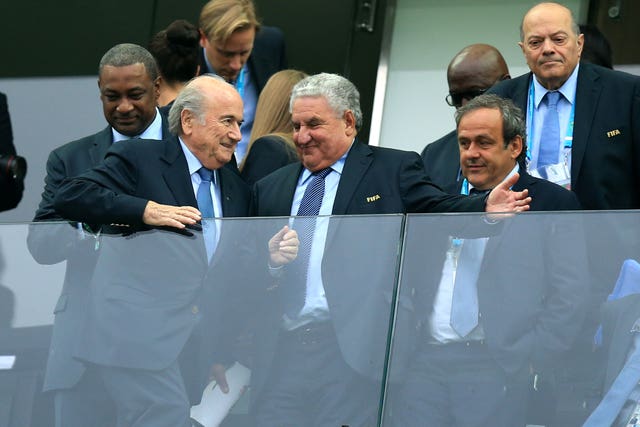 Sepp Blatter, left, and Michel Platini, right, had been opponents of goal-line technology prior to the 2010 finals 
