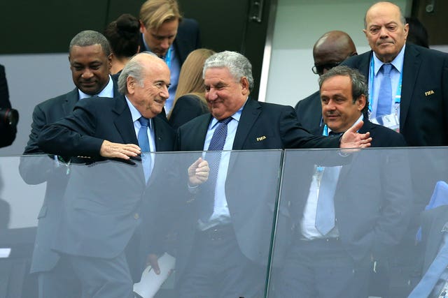 Sepp Blatter, left, and Michel Platini, right, had been opponents of goal-line technology prior to the 2010 finals
