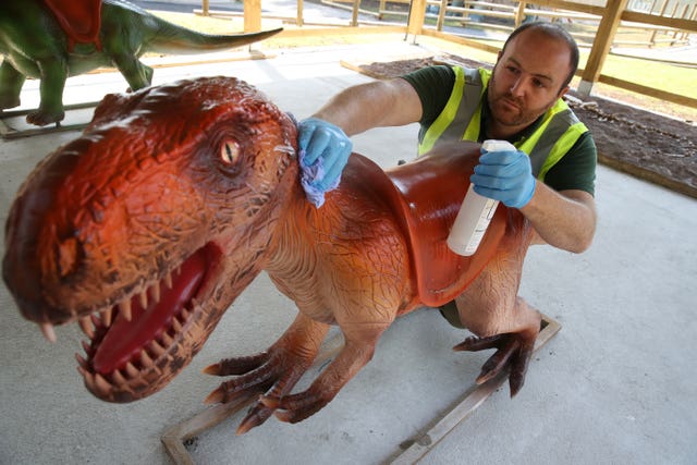 Dinosaur clean