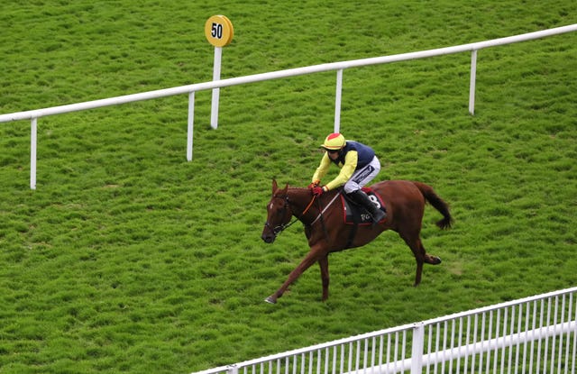 The Storyteller won in a canter