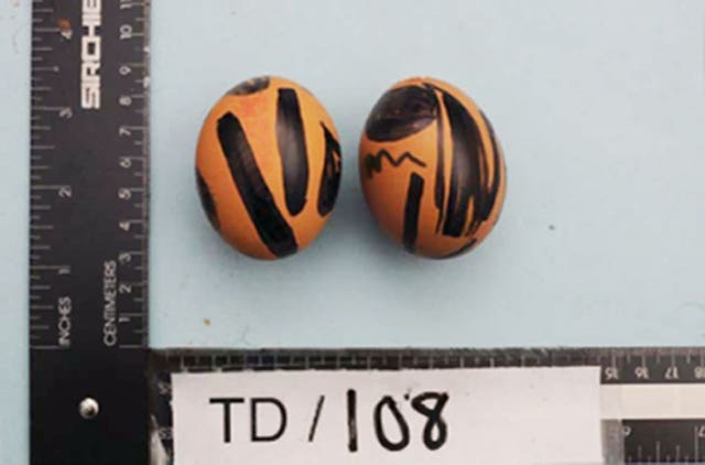 So-called Ninja eggs were part of a large haul of weapons and objects police believe to be related to a planned terror attack