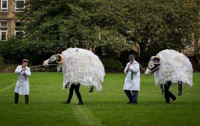 Skipton Puppet Festival