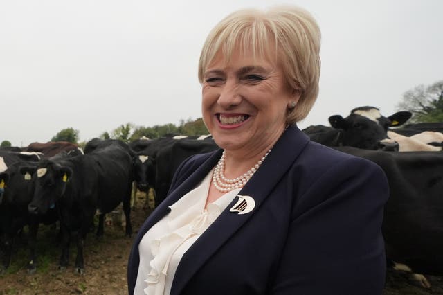Irish presidential election