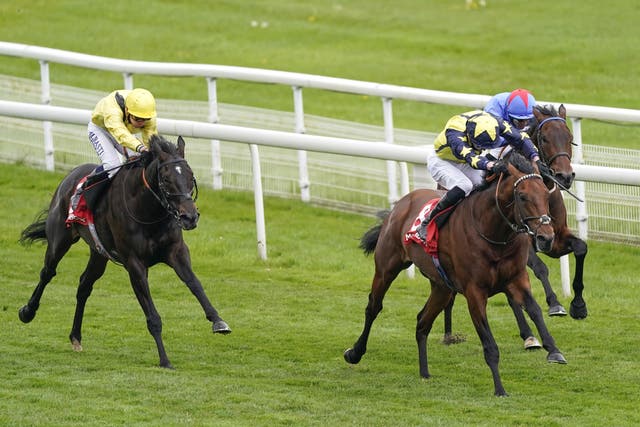 Irish Admiral (left) in the Matchbook ‘Best Value’ Exchange Handicap at York