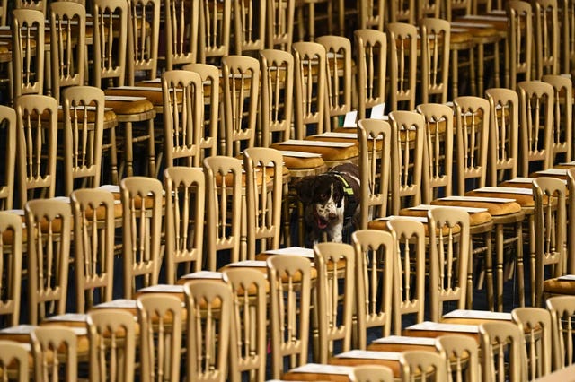 A search dog patrols the Royal Gallery