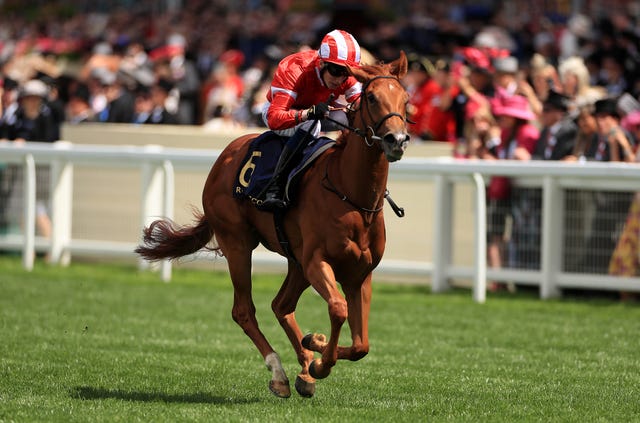 Daahyeh had to make do with minor honours at Newmarket