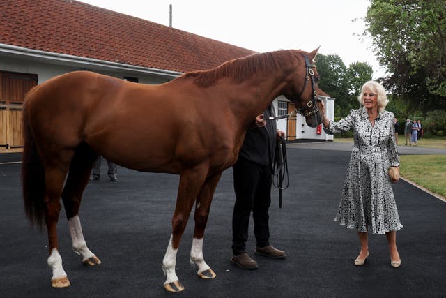 The Queen views racehorse Stradivarius during a visit to The National Stud in Newmarket