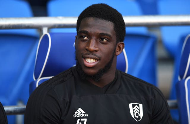 Aboubakar Kamara has become a controversial figure at Fulham (Simon Galloway/PA Images)