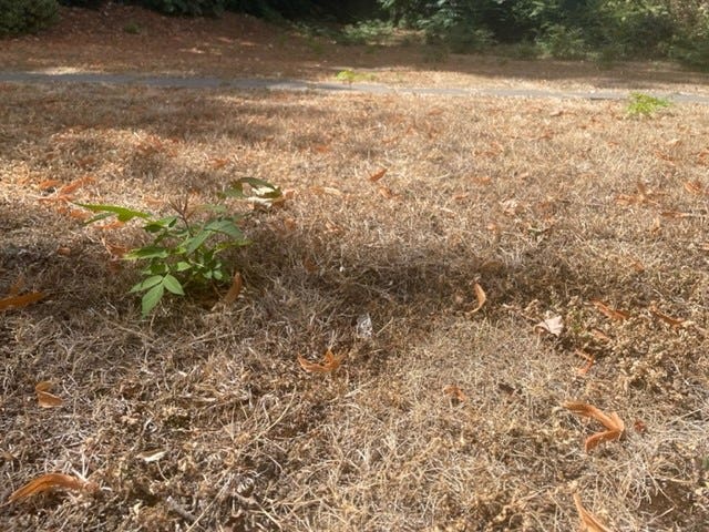 Drought warning